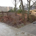hausmeister10.jpg